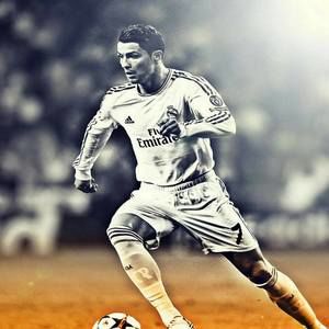 Meet your Posher, Max